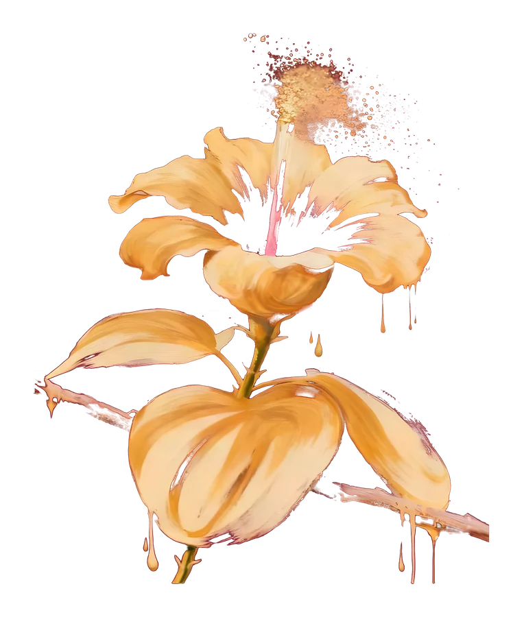 The flor de maga, in full bloom, painted in cream and gold