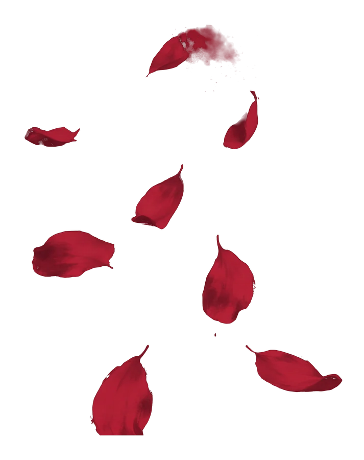 The flor de maga, petals falling, painted in bija red