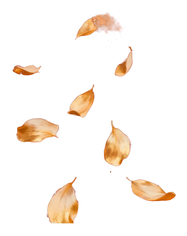 The flor de maga, petals falling, painted in cream and gold