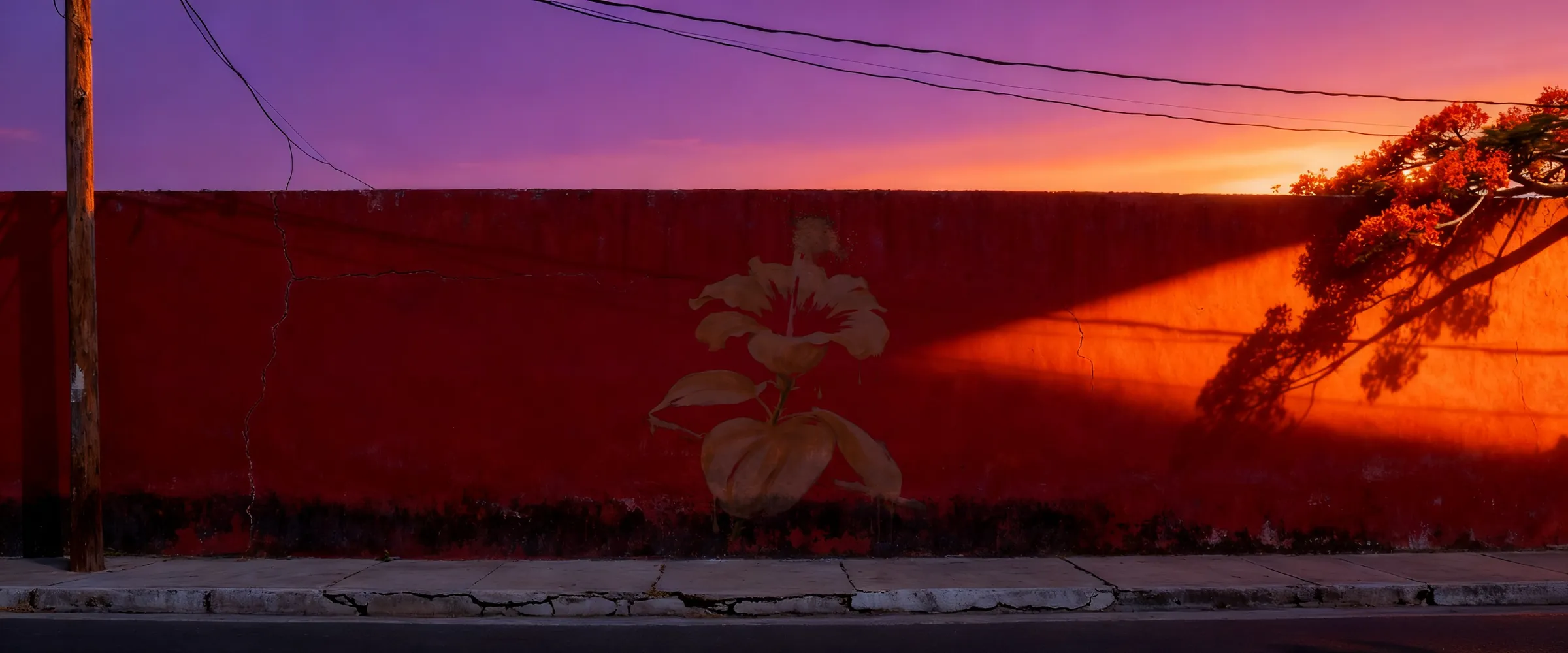 At dusk, the flor de maga mural sits in shadow while the last orange sun rakes across the red wall beside it
