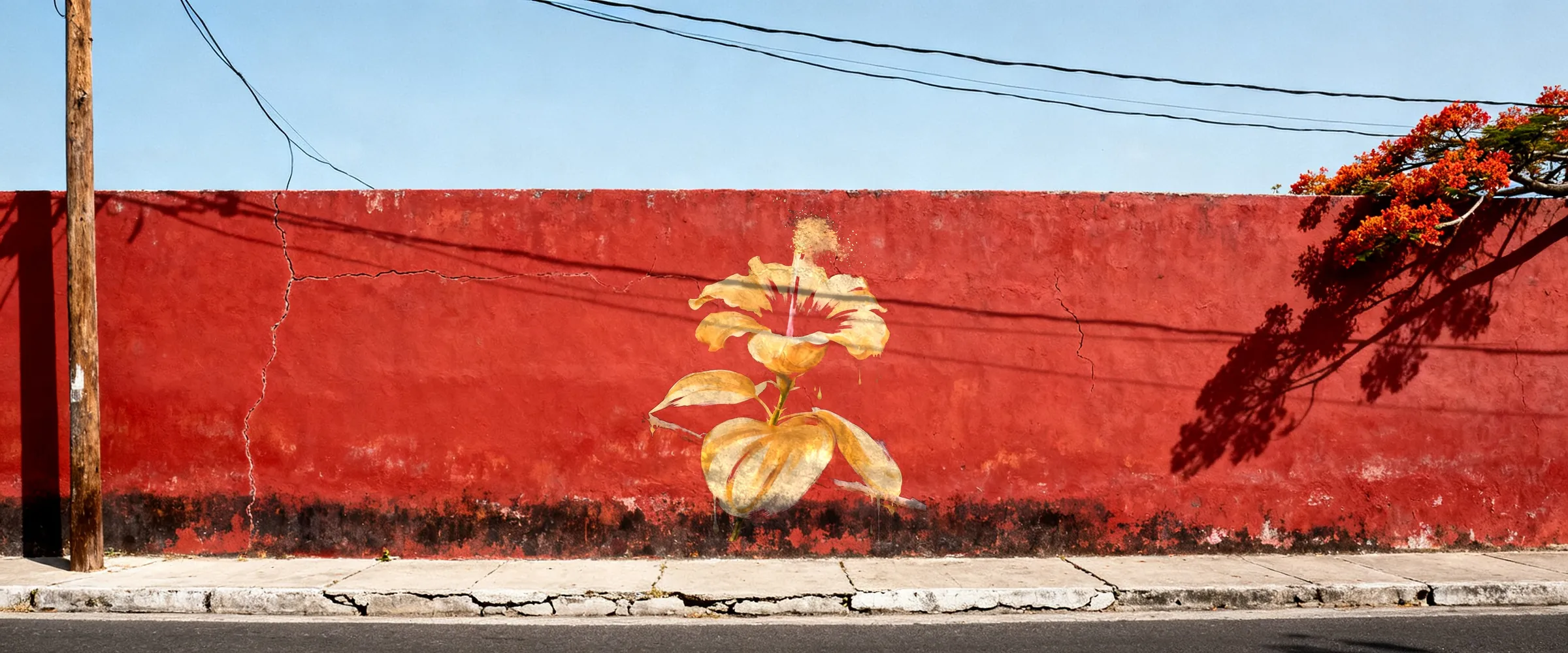At noon, power-line shadows cross a gold flor de maga painted on a weathered red street wall, a flamboyán leaning over the top
