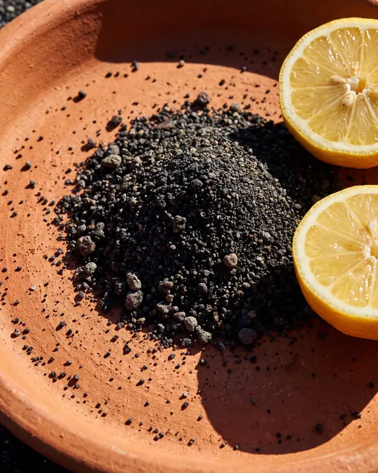 Lava Volcanic Face & Body Scrub, texture close-up
